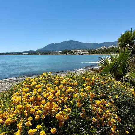 Dream Holidays By The Sea *