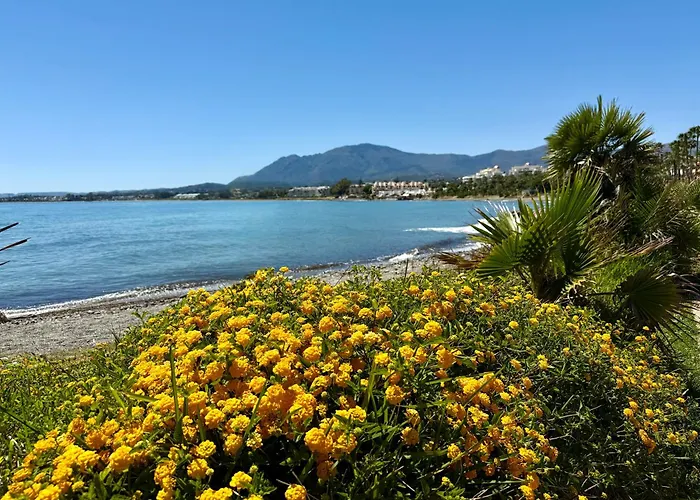 Dream Holidays By The Sea *